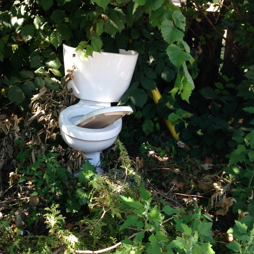 Tarzan toilet